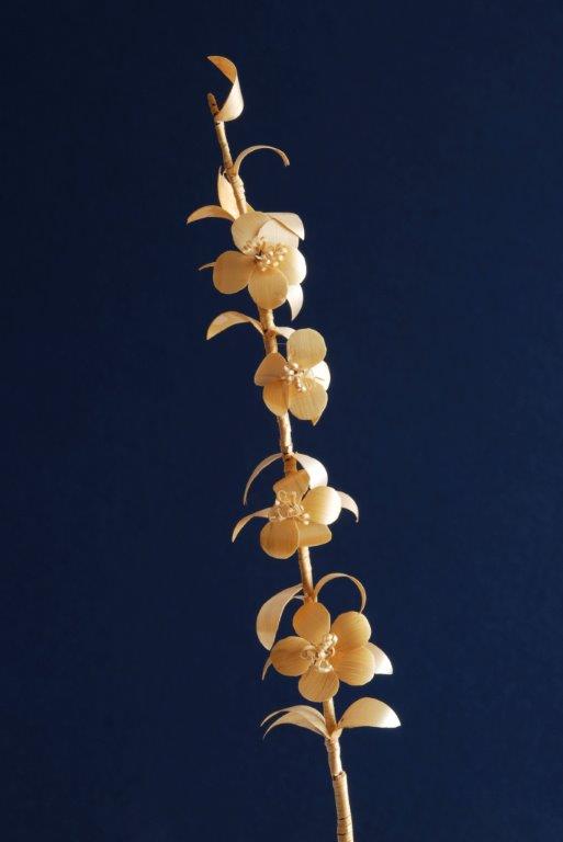 Perlica 004